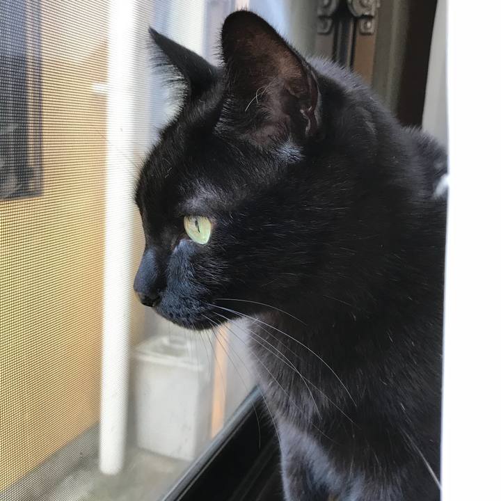 Cfdc0e77 4f50 4799 8c7c 6a095d7b50fc 1509153159101