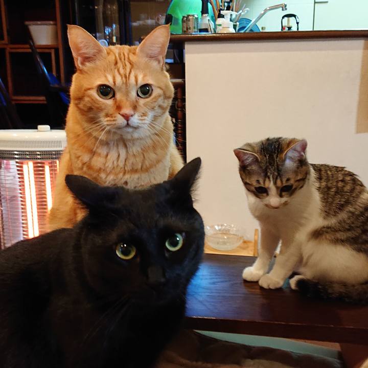 Cfdc16af 5fd1 4404 9c8f 290cd245b062 1549669190202