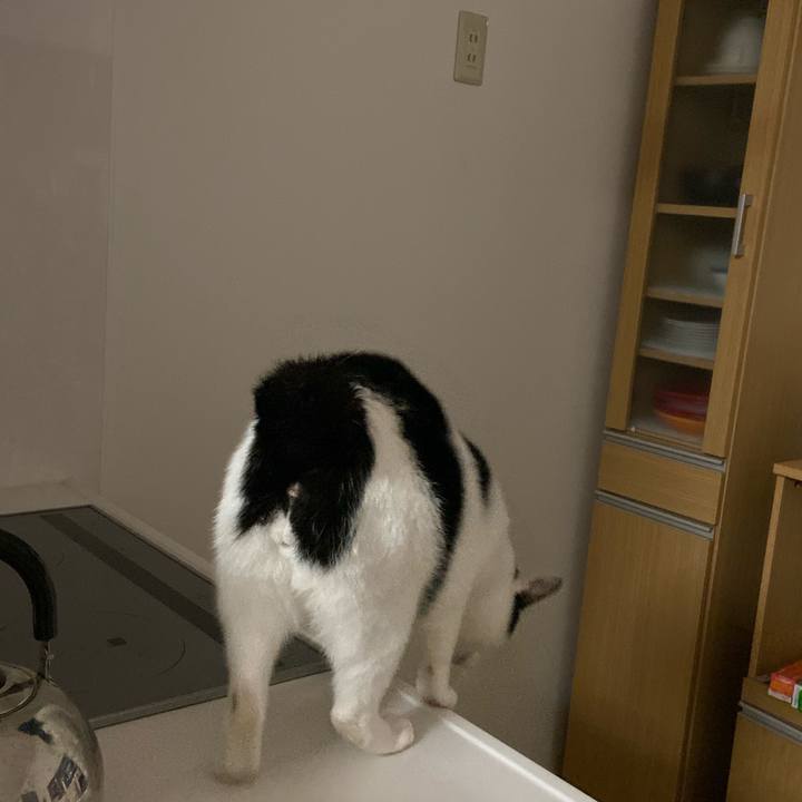 Cfdc244e 9021 40c8 aeeb dfca3695f208 1575978122767