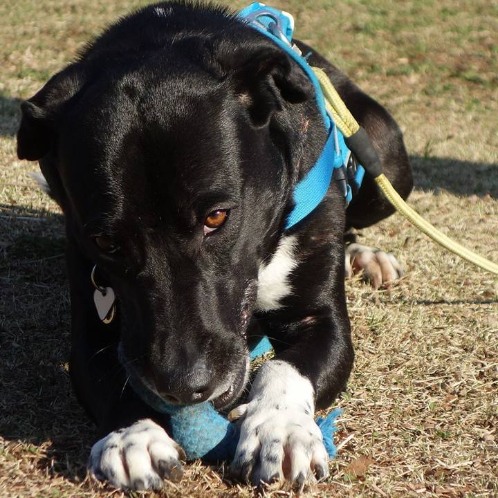 Cfdc93fd 080e 484b 8d55 732658b9222b 1615765265405