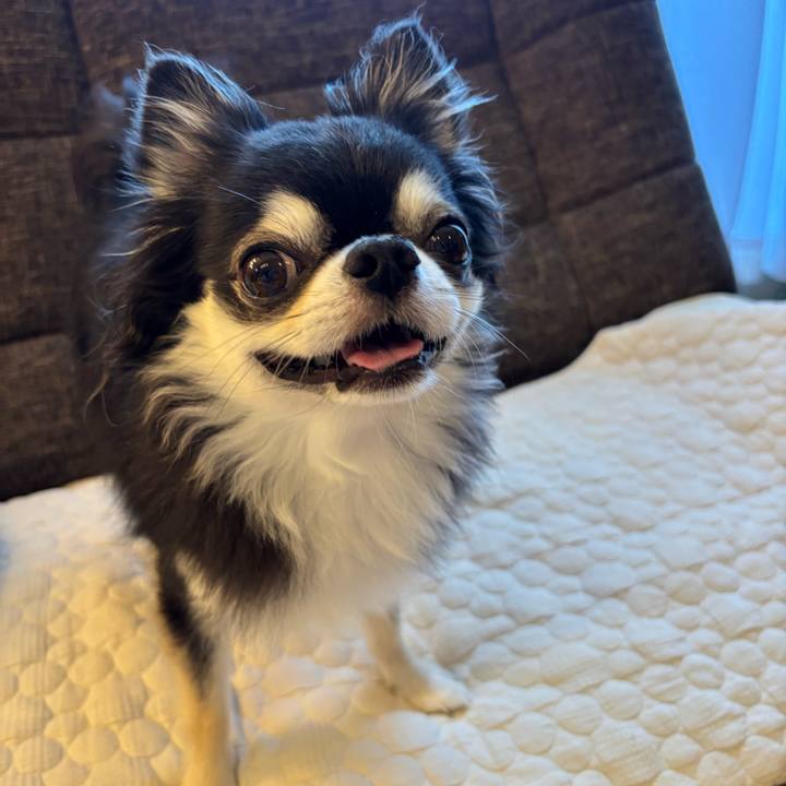 Cfdc99d8 6303 41ef 8315 9d0051067e9d 1755276718383