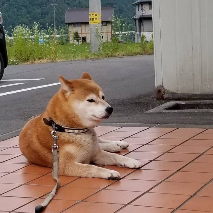 Cfdc99ef 2fff 4785 a056 6f1e51d41e15 1529045103516