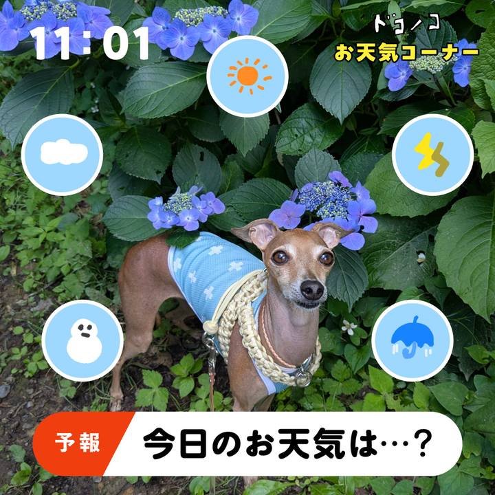 Cfdcb11a 15f3 4a9c 8821 09af8beebfa4 1781493451945