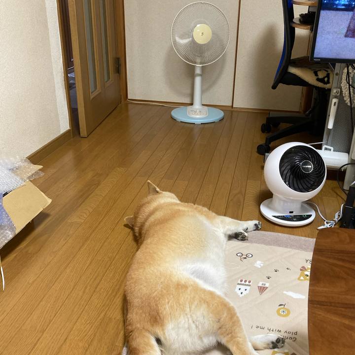 Cfdce5b6 4e91 4bde 8f90 e1415ff9bb1d 1626991418909