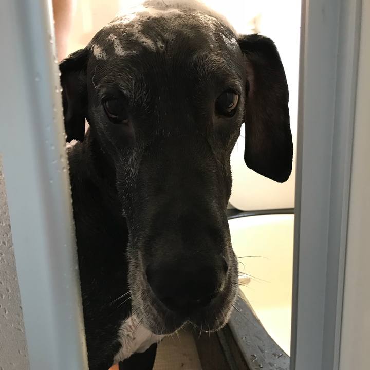 Cfdd1123 3685 419f b863 04e188728c6d 1534032785704