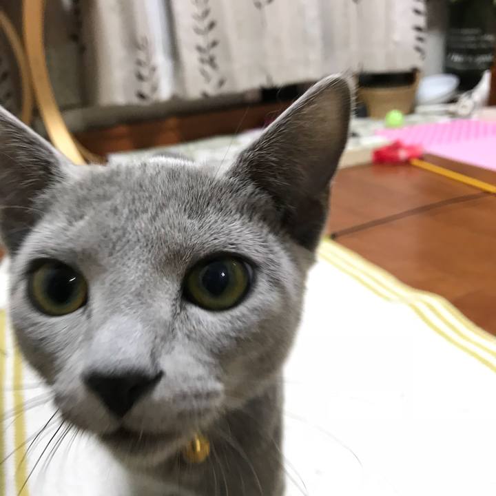 Cfdd6f04 135c 410a be31 e6bf59f3b987 1510235294237