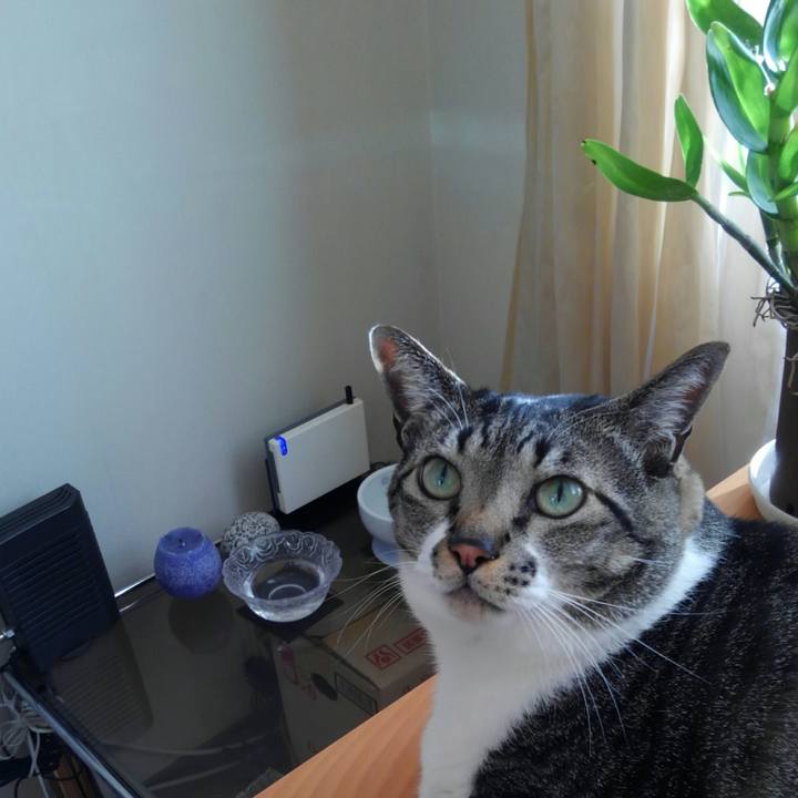 Cfdd7d98 16f2 4931 b7ec d6891dce46f2 1518475004256