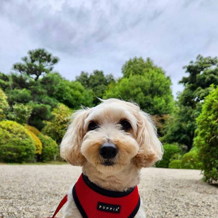 Cfdd8af3 9ff7 4ae6 bfbc df563e481f35 1761014487161