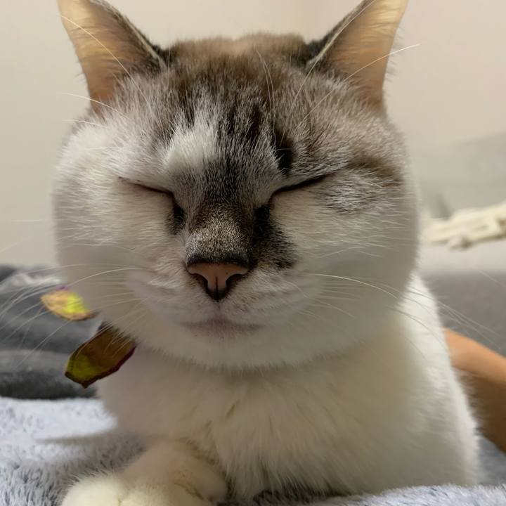 Cfdd8eef 6d39 4bde 99c5 7e0bcd76327d 1575297560247