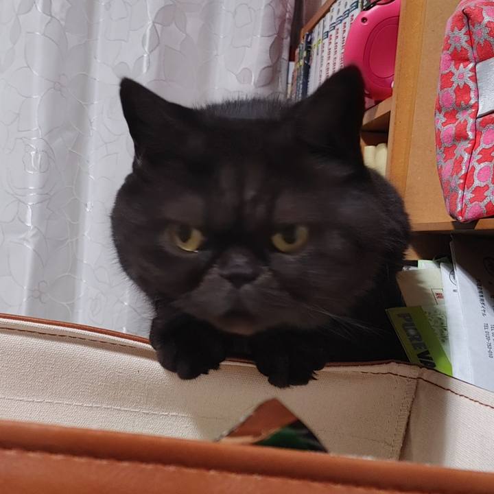 Cfdd9381 bada 4678 a974 774afc63c087 1634384816387