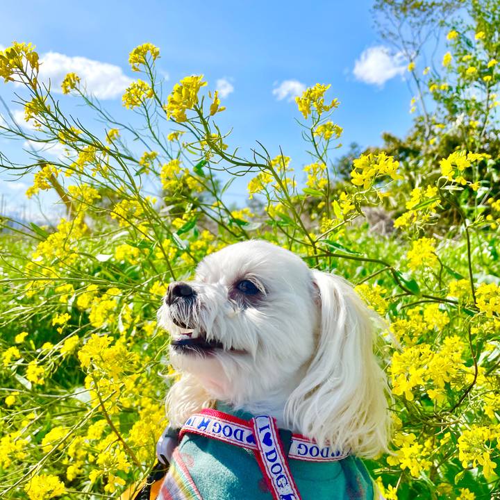 Cfddb5ad eda1 4d21 bd82 49dadec6a8b7 1618833383325