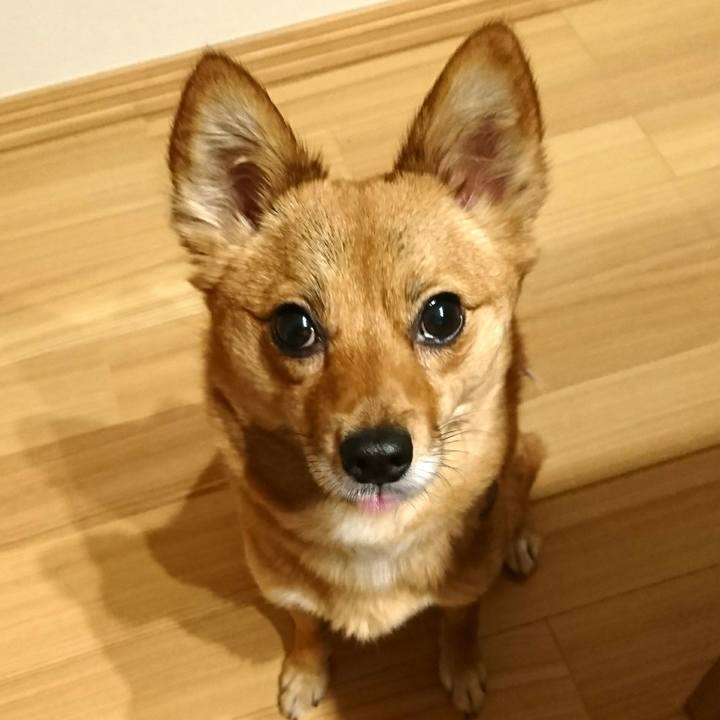 Cfddfd8c 3a1b 491e 9349 7a928c50f103 1519300099415