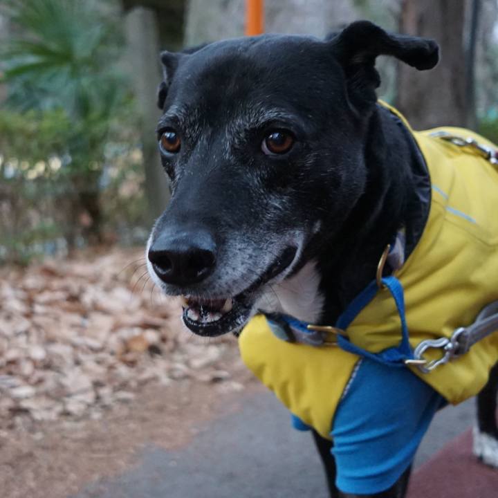 Cfde2224 608a 411e b292 ffcf871e2e3e 1767745272327