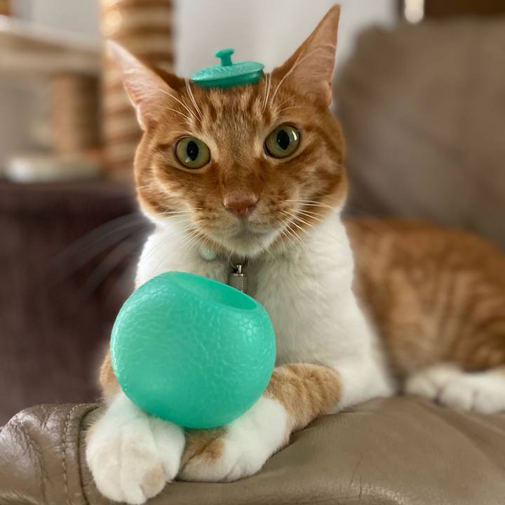 Cfde36b8 0ec1 4f84 be1b 293ae12ccc58 1623494661122