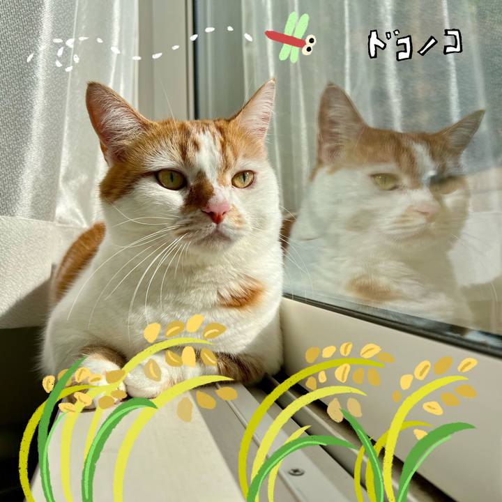 Cfde41ba ecb8 4471 bc10 3777d1e38fc4 1762312361400