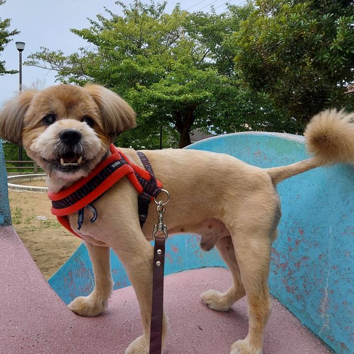 Cfde4d0e 2cf5 4a1b a552 a5381d43c637 1657895507703