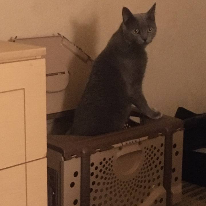 Cfde4e41 cf02 48dd 9929 112f59dc8711 1633823403483