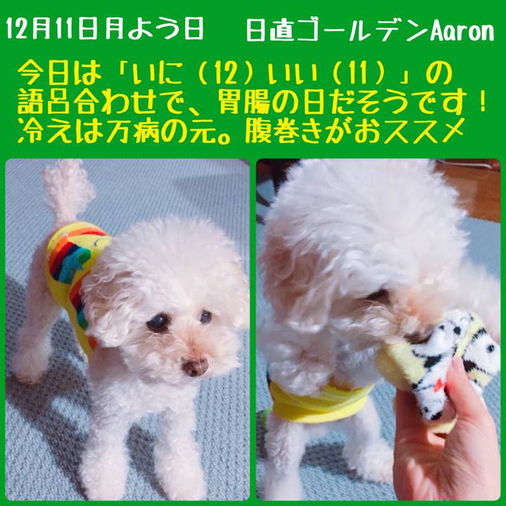 Cfde5fe3 d7f9 4bbc b212 6348c6a1a743 1512962948265