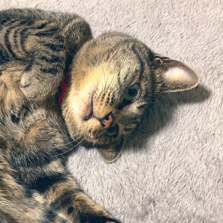 Cfdea981 ae93 451f 8b21 89131ed38876 1552818744624