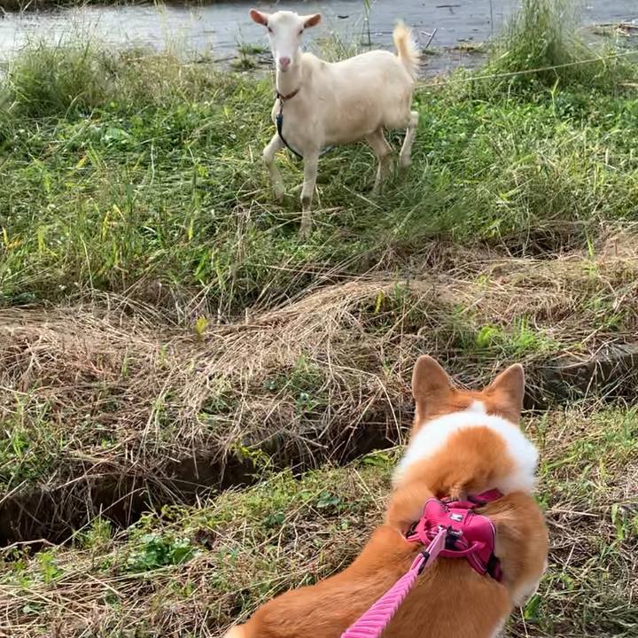 Cfdeb805 9399 48c6 ab21 a8a87260fa2e 1665211084257