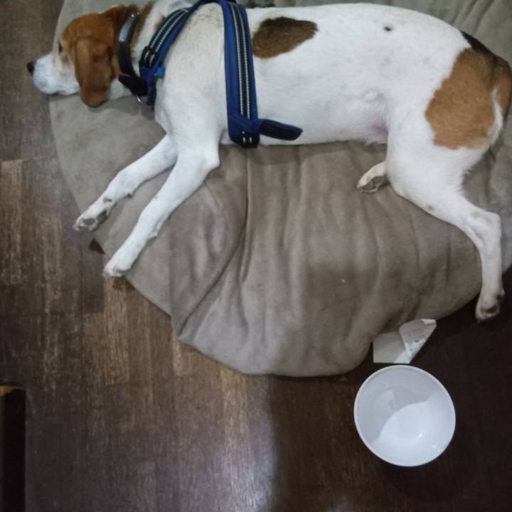 Cfdebecc 3baf 4016 90b9 6f27dda3df2a 1746105238900