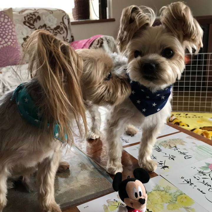 Cfdece23 9642 477e 9ce7 57a81e4e32fe 1551912968275