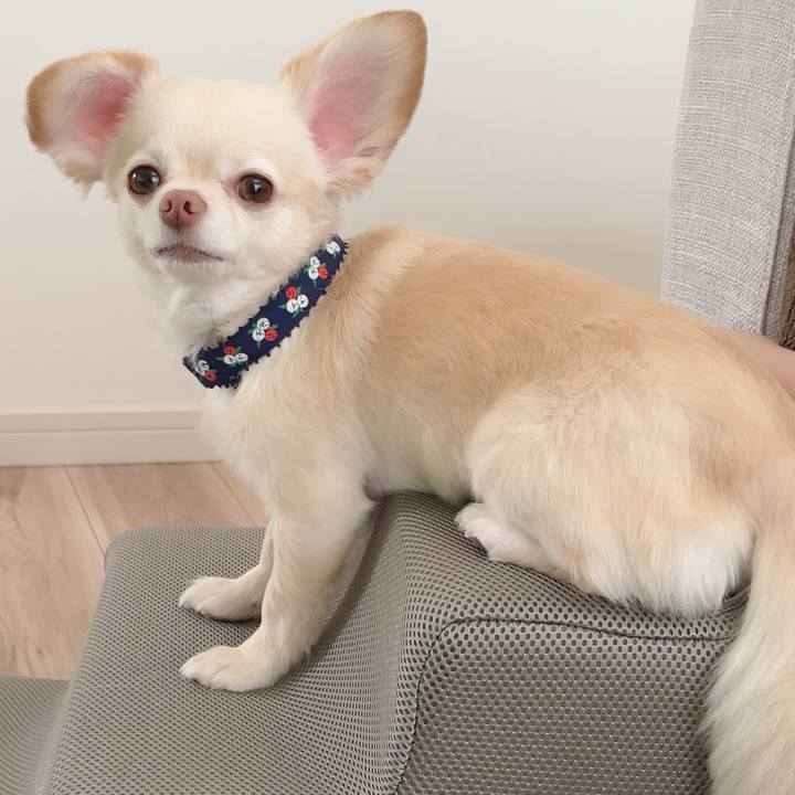 Cfdf16e1 5ea4 498c 8a38 db2464a7cd56 1723272027763