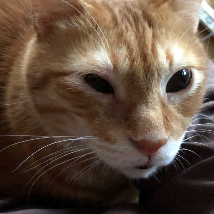 Cfdf182c fc68 4a8e b269 603d2f309ce5 1660507063352