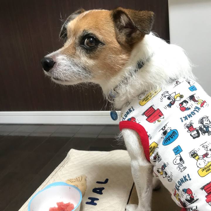 Cfdf9a3d 1176 4242 915b 2147c89b73e7 1534568844492