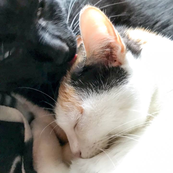 Cfdfd8e2 f0a8 4622 a2a5 457490e1f404 1511092945643