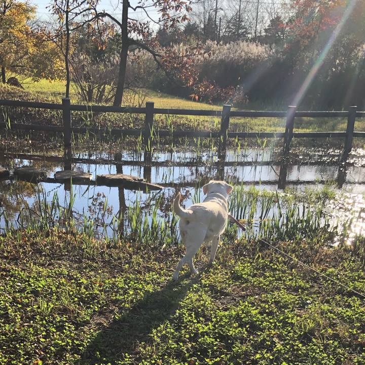 Cfe00c5a a746 4d3c bc88 bf8a639fbb3f 1636545141888