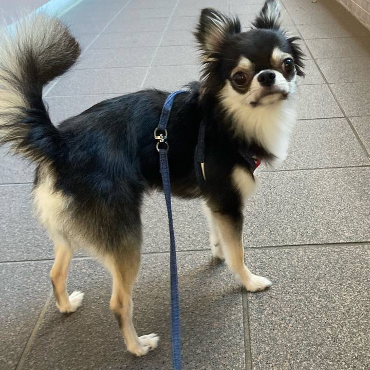 Cfe03c27 c0c8 4569 881f ec85aadff20b 1632041733050