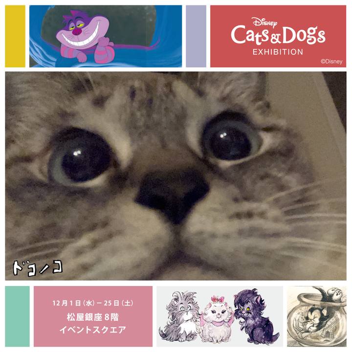 Cfe06c5e 88a4 4491 8694 5dc35b1ac8db 1638601484756