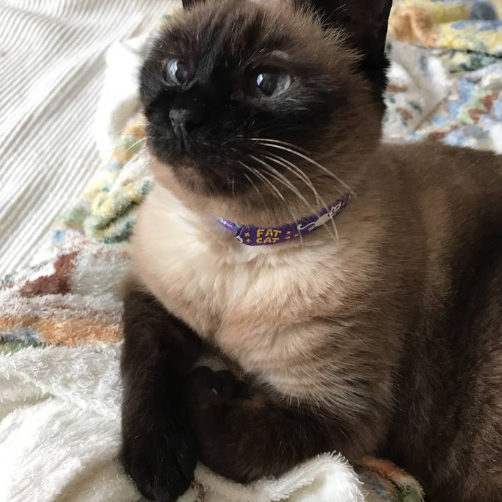 Cfe09c5d 6b70 42bb a149 7494c3787f79 1532042228392