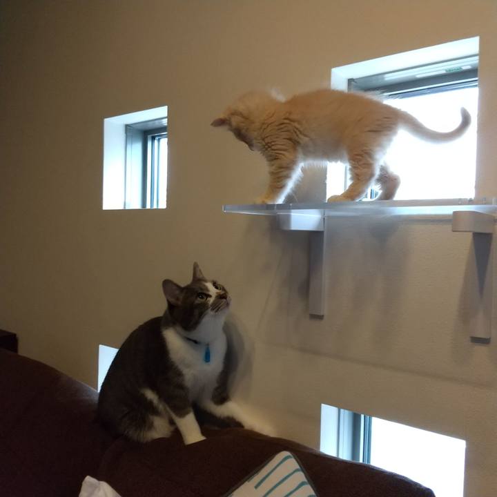 Cfe0c2d8 aeea 4aa5 8dda 151662924839 1602726942645