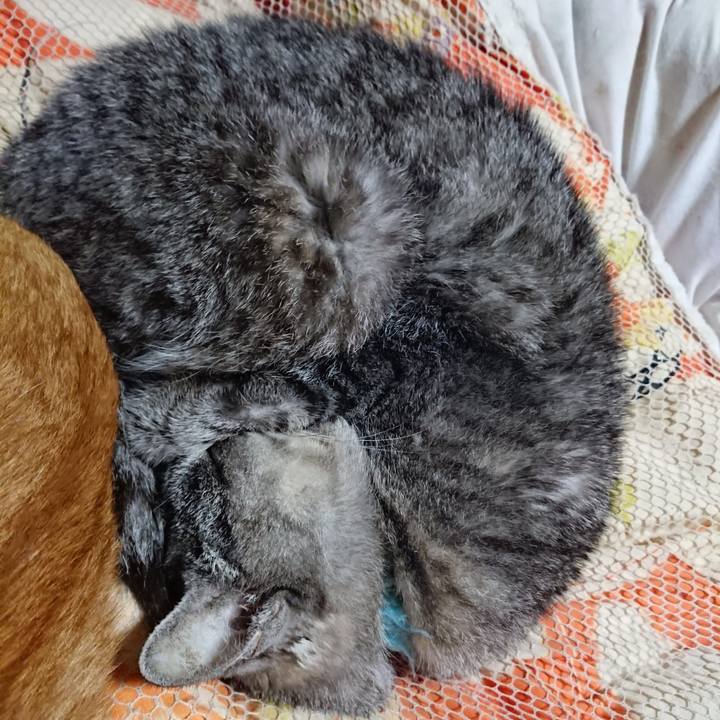 Cfe0c747 e810 4d56 92b8 a652d86691b5 1604143890403