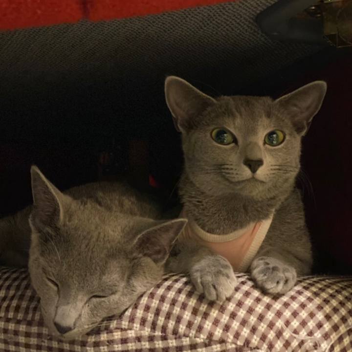 Cfe0ee6f 6191 4918 a919 d173adb1e232 1609329442284