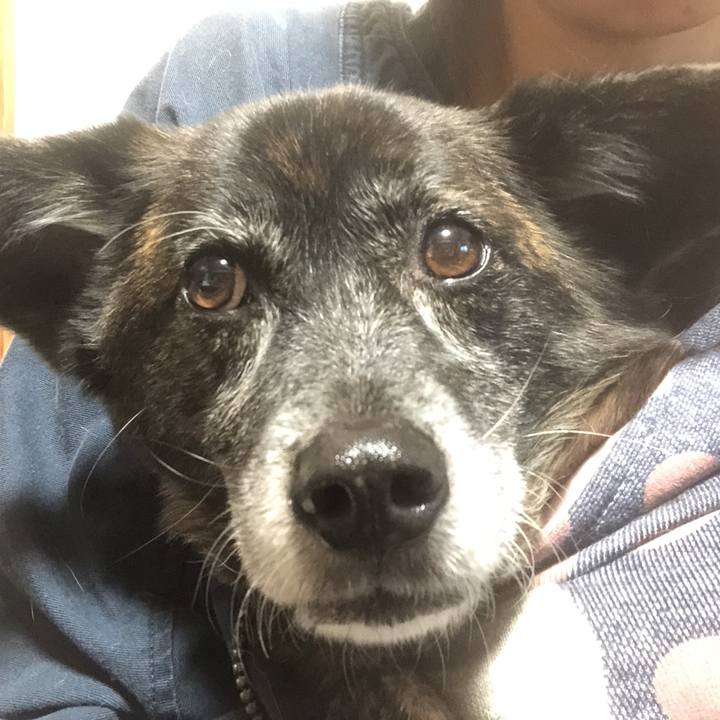 Cfe156b4 26d1 440d 82e8 870cd80f7d2c 1604492132545