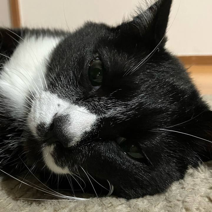 Cfe18652 674c 4f93 adaa 802c4cab9d73 1691250129443