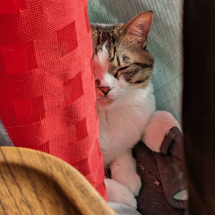 Cfe19ac3 cf21 4227 a809 d009efe96c80 1704593401704