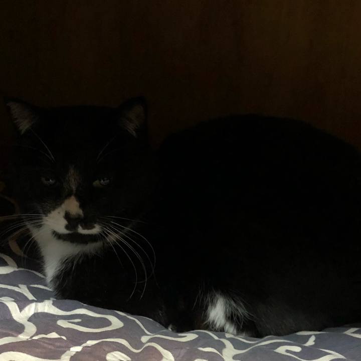 Cfe1bbd7 2682 4c02 ad92 769897f4bc6b 1649390388004