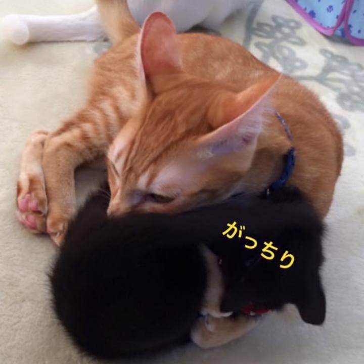 Cfe1db54 385b 42d4 a143 503d5f979119 1604742786312