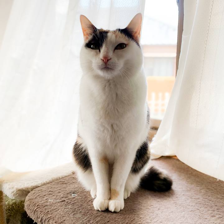 Cfe1f3d5 45af 4908 adf7 303d2046f7b3 1583287388765