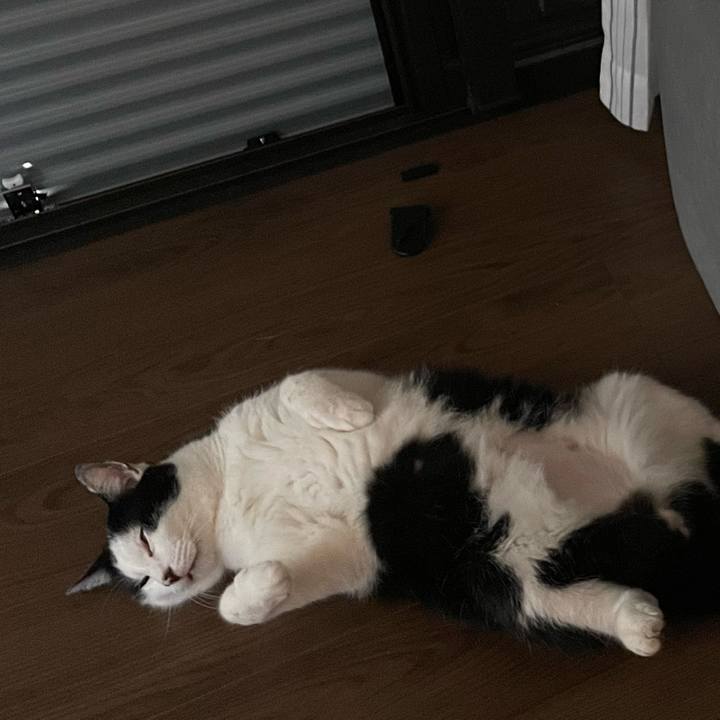 Cfe20fbd 7fa0 4fbb b66f 6579b6bc28f5 1723256800040