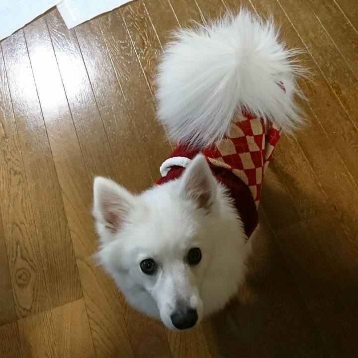 Cfe234e1 c3fc 41fb b2f3 60431b25e6fe 1513510597129