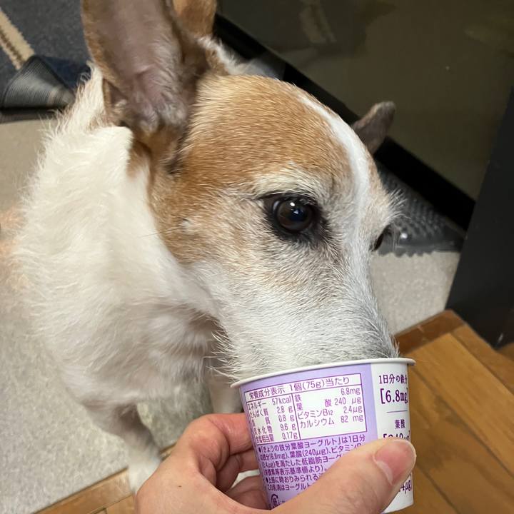 Cfe269be e978 421a b783 f21efb3336a1 1698971966031