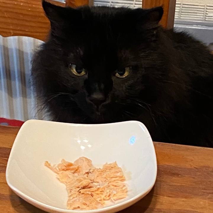 Cfe2b825 35bf 4c8d 80b4 55d271b070fa 1578838307525