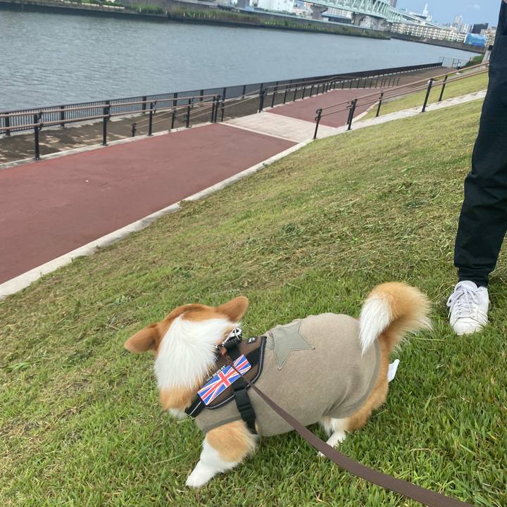 Cfe2c41e 7c9d 4ade ae7a 1d9670e13ce8 1688196298525