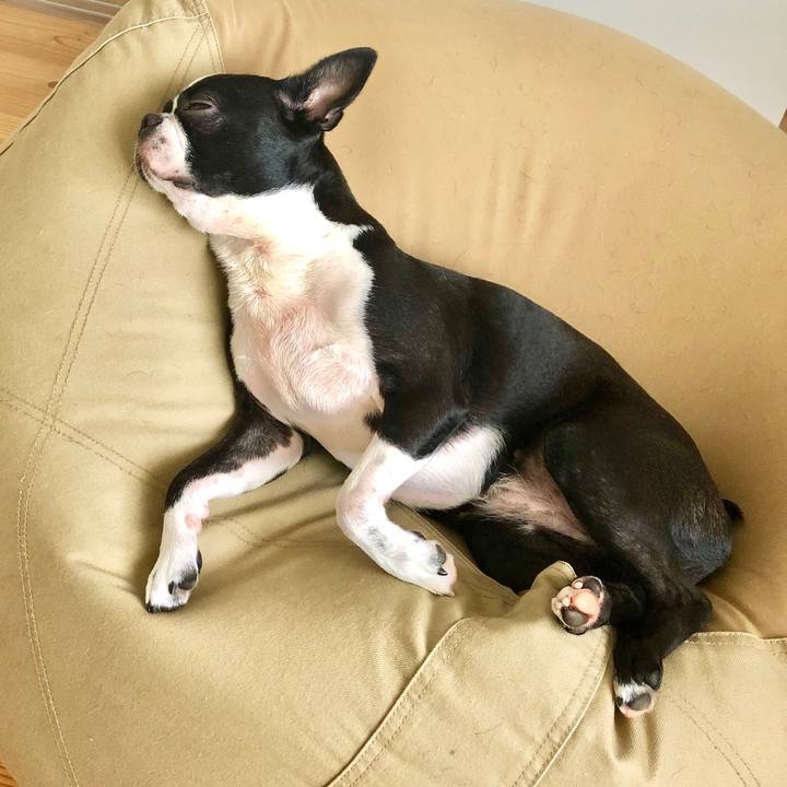 Cfe2c76f a385 4267 bdd4 215117139f1c 1536552969663