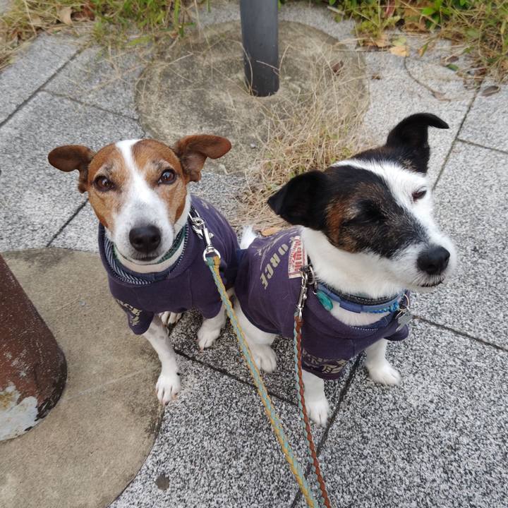 Cfe31864 e81f 4432 a4b2 6095e0595e82 1731190795799